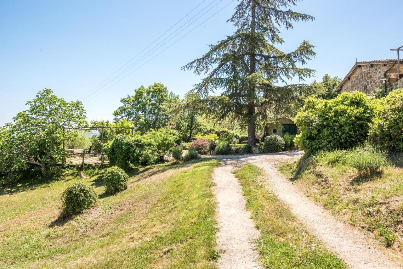 Appartamento Gemma Bianca-tavoleto Castiglione dʼOrcia Esterno foto