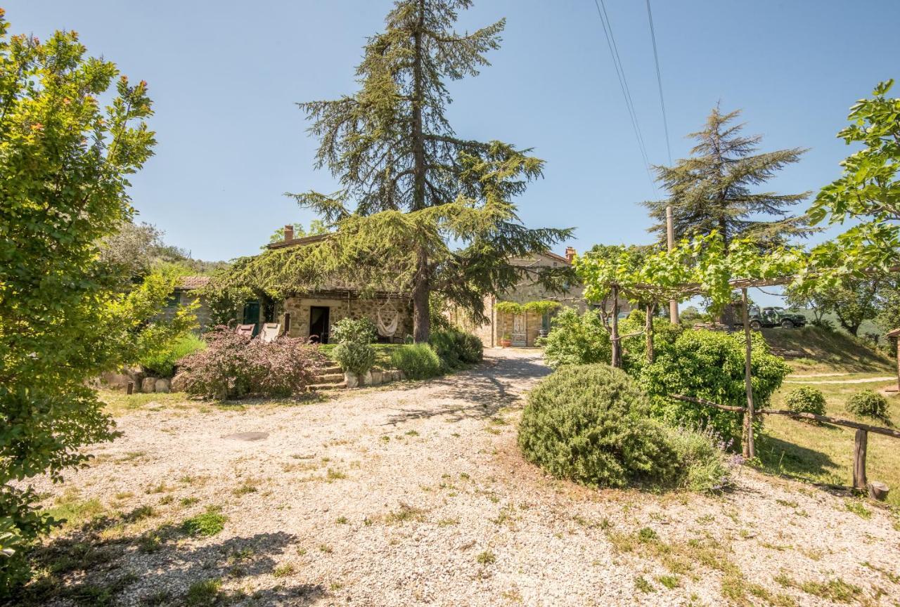 Appartamento Gemma Bianca-tavoleto Castiglione dʼOrcia Esterno foto
