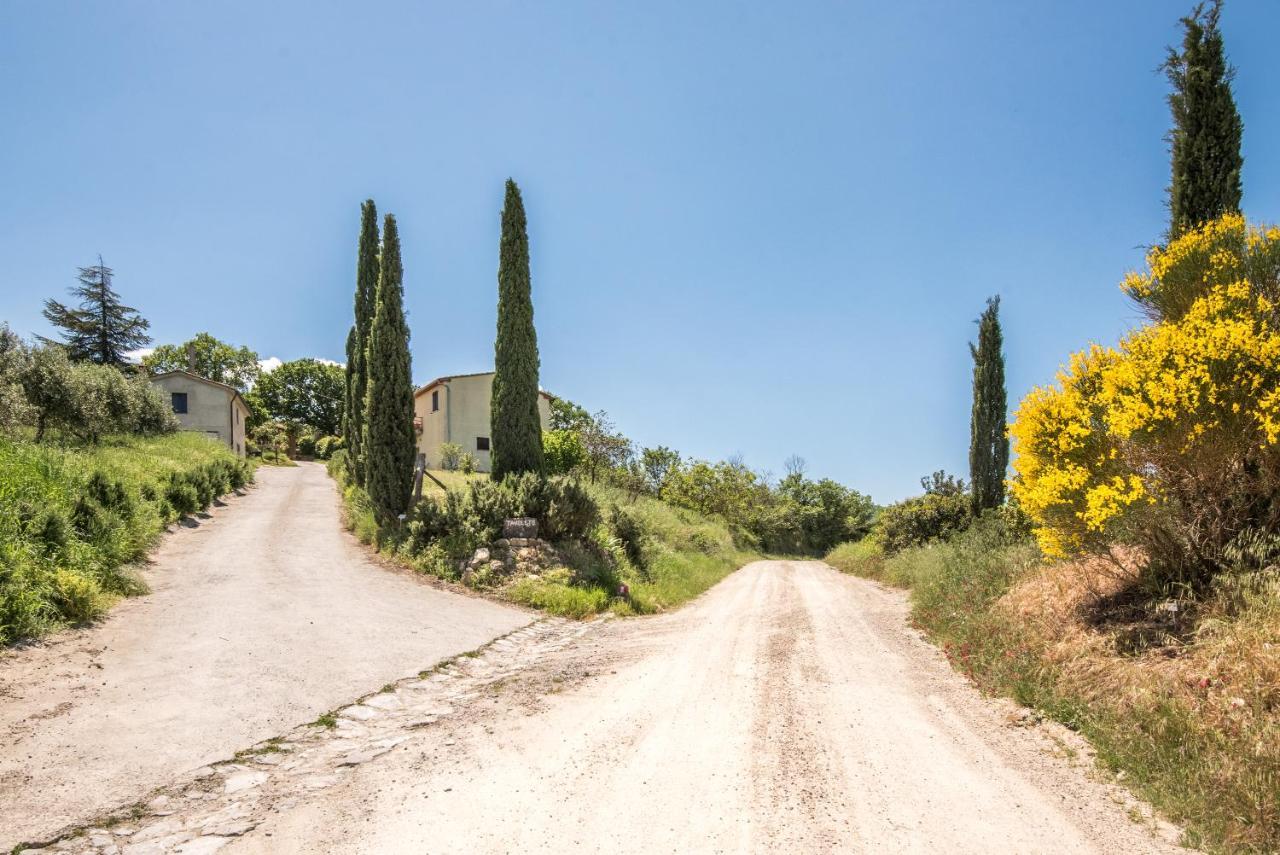 Appartamento Gemma Bianca-tavoleto Castiglione dʼOrcia Esterno foto